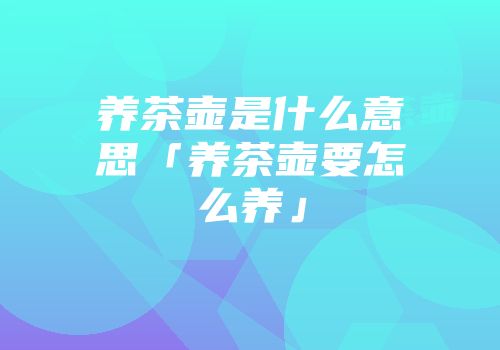 养茶壶是什么意思「养茶壶要怎么养」