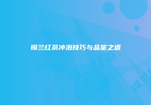 锡兰红茶冲泡技巧与品鉴之道
