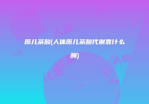 原儿茶酸(人体原儿茶酸代谢靠什么酶)