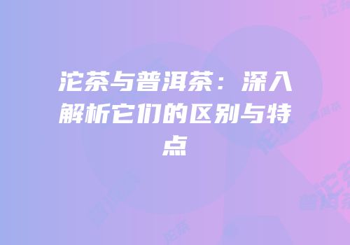 沱茶与普洱茶：深入解析它们的区别与特点