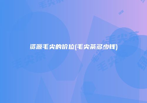 资源毛尖的价位(毛尖茶多少钱)