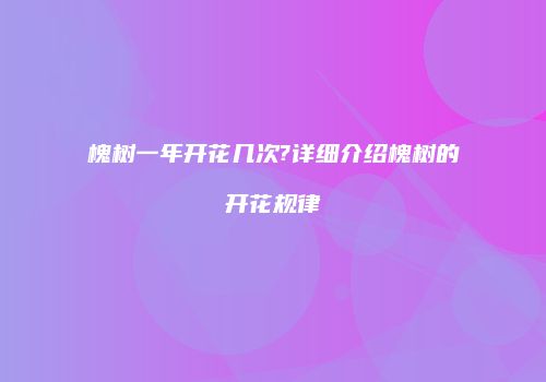 槐树一年开花几次?详细介绍槐树的开花规律