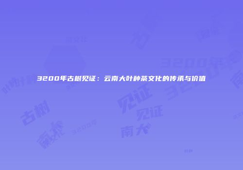 3200年古树见证：云南大叶种茶文化的传承与价值