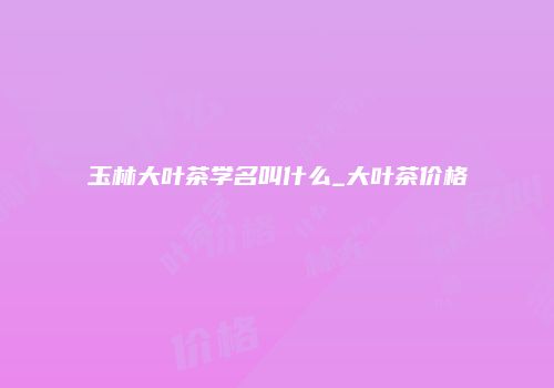 玉林大叶茶学名叫什么_大叶茶价格