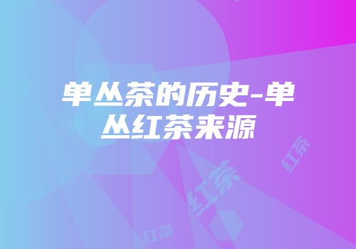 单丛茶的历史-单丛红茶来源