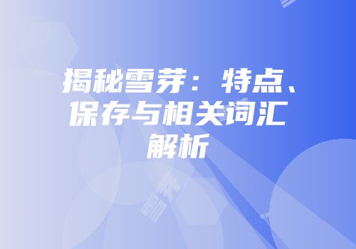 揭秘雪芽：特点、保存与相关词汇解析