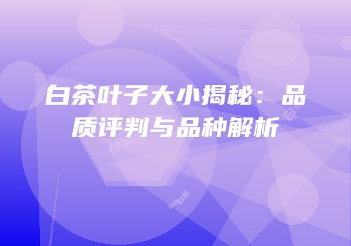 白茶叶子大小揭秘：品质评判与品种解析