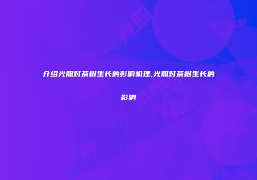介绍光照对茶树生长的影响机理,光照对茶树生长的影响