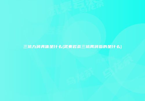 三坑九涧具体是什么(武夷岩茶三坑两涧指的是什么)