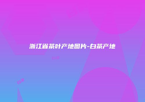 浙江省茶叶产地图片-白茶产地