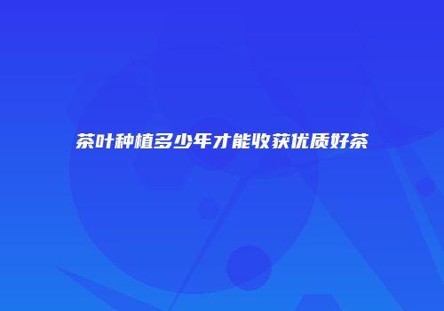 茶叶种植多少年才能收获优质好茶