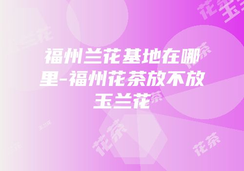 福州兰花基地在哪里-福州花茶放不放玉兰花