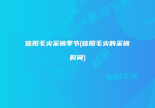 信阳毛尖采摘季节(信阳毛尖的采摘时间)