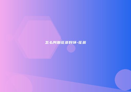 怎么判断花茶好坏-花茶