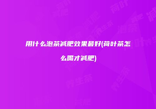 用什么泡茶减肥效果最好(荷叶茶怎么喝才减肥)