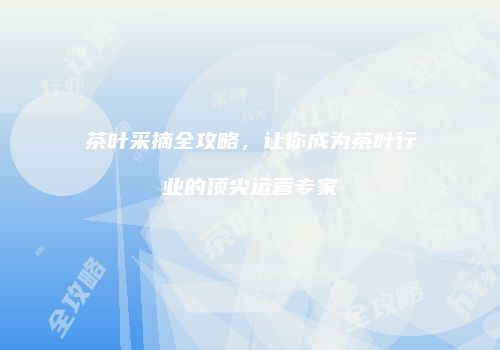 茶叶采摘全攻略，让你成为茶叶行业的顶尖运营专家
