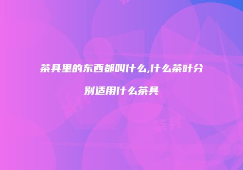 茶具里的东西都叫什么,什么茶叶分别适用什么茶具
