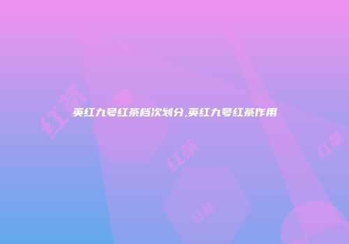 英红九号红茶档次划分,英红九号红茶作用