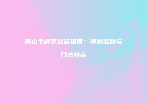黄山毛峰茶品鉴指南：辨别品质与口感特点