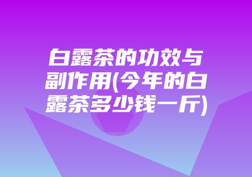 白露茶的功效与副作用(今年的白露茶多少钱一斤)