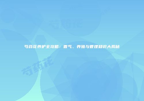 芍药花养护全攻略：香气、养殖与管理知识大揭秘