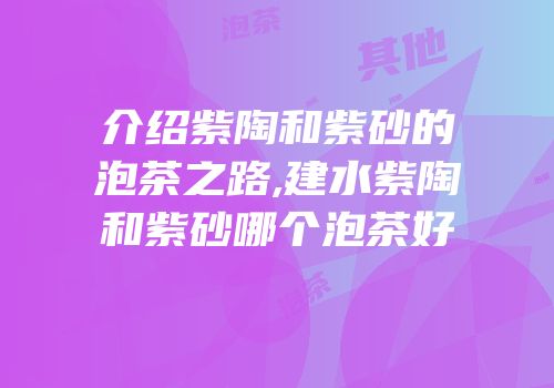 介绍紫陶和紫砂的泡茶之路,建水紫陶和紫砂哪个泡茶好