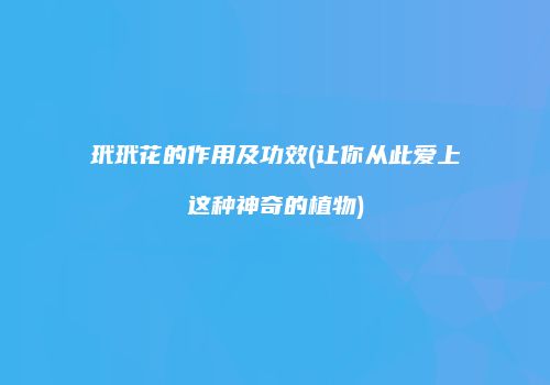 玳玳花的作用及功效(让你从此爱上这种神奇的植物)