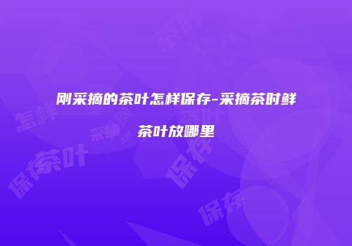 刚采摘的茶叶怎样保存-采摘茶时鲜茶叶放哪里
