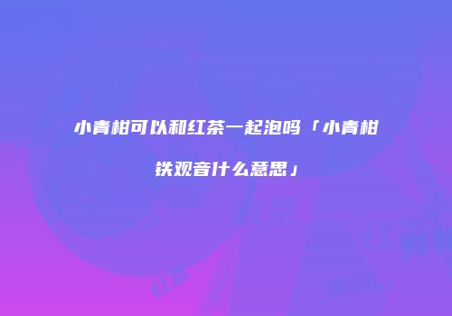 小青柑可以和红茶一起泡吗「小青柑铁观音什么意思」