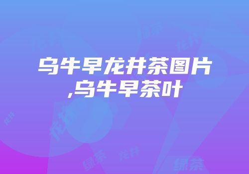 乌牛早龙井茶图片,乌牛早茶叶