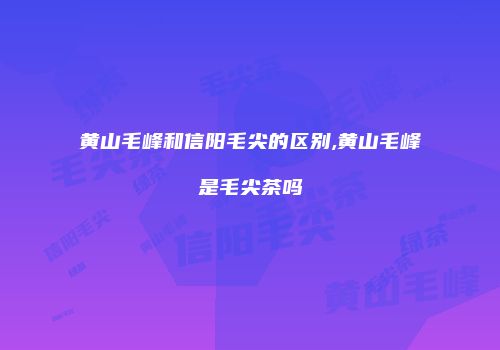 黄山毛峰和信阳毛尖的区别,黄山毛峰是毛尖茶吗