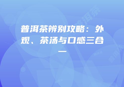 普洱茶辨别攻略：外观、茶汤与口感三合一
