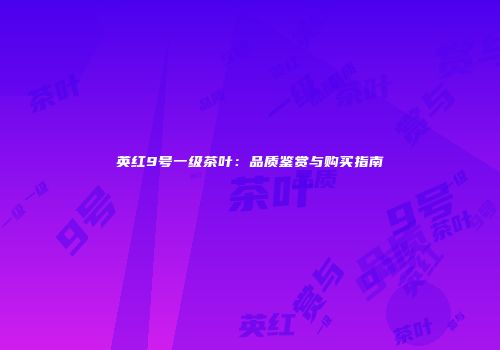 英红9号一级茶叶：品质鉴赏与购买指南