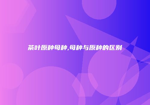 茶叶原种母种,母种与原种的区别