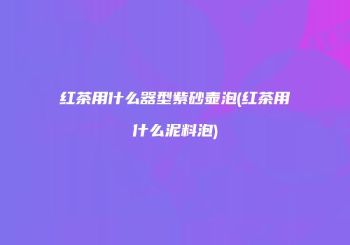 红茶用什么器型紫砂壶泡(红茶用什么泥料泡)