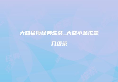大益猛海经典坨茶_大益小金沱是几级茶