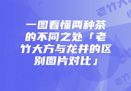 一图看懂两种茶的不同之处「老竹大方与龙井的区别图片对比」