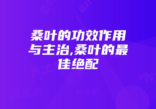 桑叶的功效作用与主治,桑叶的最佳绝配