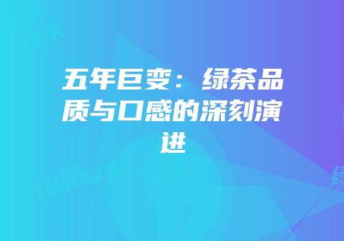 五年巨变：绿茶品质与口感的深刻演进