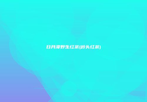 日月潭野生红茶(岭头红茶)