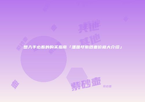 想入手必看的购买指南「潘国琴紫砂壶价格大介绍」
