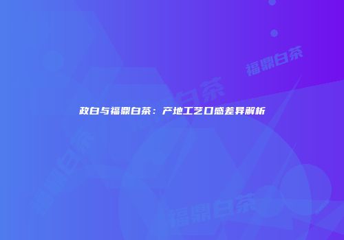 政白与福鼎白茶：产地工艺口感差异解析