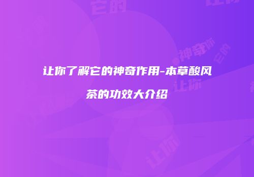 让你了解它的神奇作用-本草酸风茶的功效大介绍