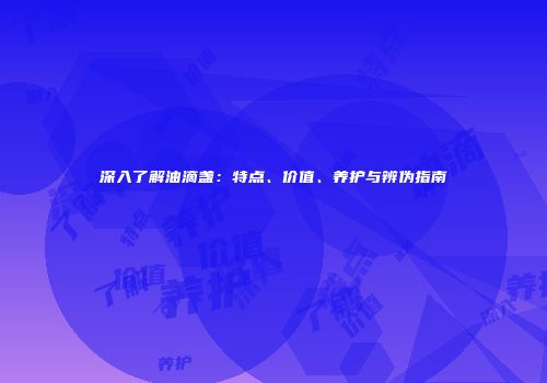 深入了解油滴盏：特点、价值、养护与辨伪指南