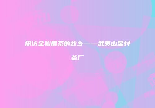 探访金骏眉茶的故乡——武夷山星村茶厂