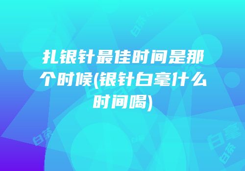 扎银针最佳时间是那个时候(银针白毫什么时间喝)