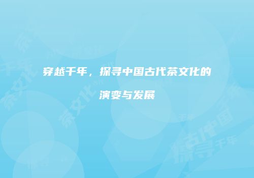 穿越千年，探寻中国古代茶文化的演变与发展
