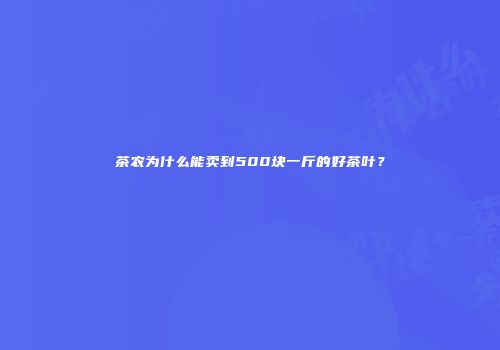 茶农为什么能卖到500块一斤的好茶叶？