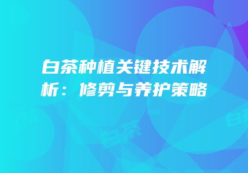 白茶种植关键技术解析：修剪与养护策略