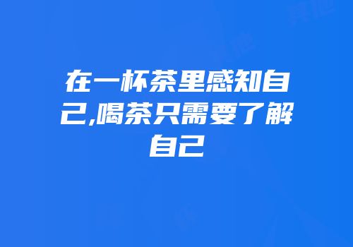 在一杯茶里感知自己,喝茶只需要了解自己